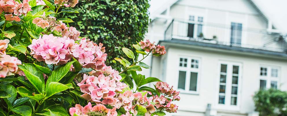 Hus og blomster