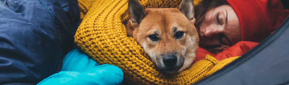 Dame ligger i hengekøye med hund