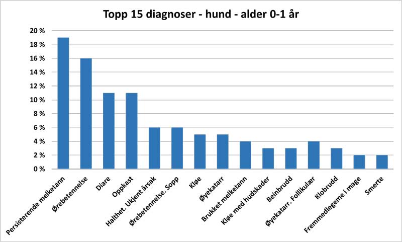 Stolpediagram som viser de 15 vanligste diagnosene på inntil 1 år gamle hunder. 