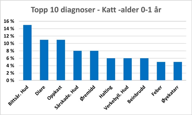 Stolpediagram som viser de 10 vanligste diagnosene på inntil 1 år gamle katter.