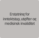 Erstatning for inntekstap, utgifter og medisinsk invaliditet