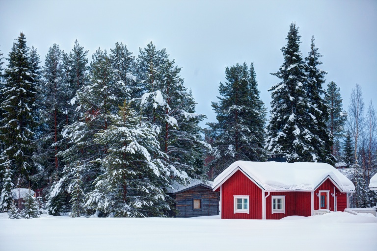 En rød hytte i skogen