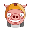 Kasko