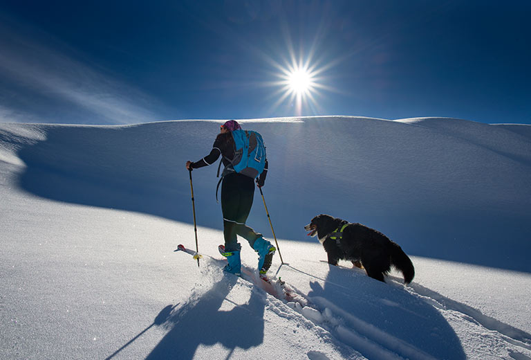 I strålende sol går en dame med sekk, skitøy og randoneeski sammen med en bernersennen hund, mot en urørt og snøfull fjelltopp.