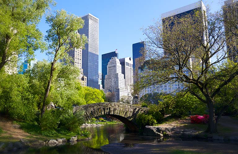 Central park i New York, på en fin sommerdag. Man ser grønne trær, en elv, en bro og skyskrapere i bakgrunnen.