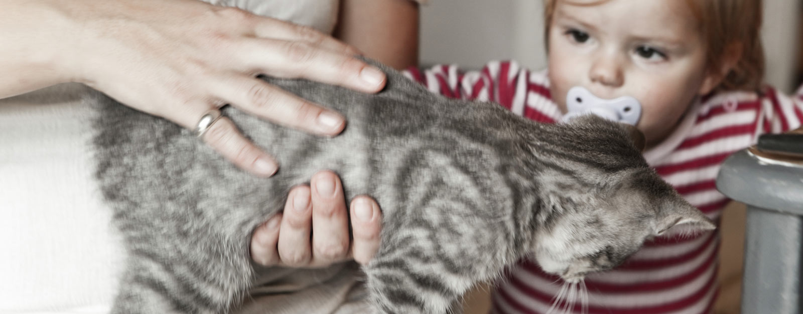 Baby og kattunge