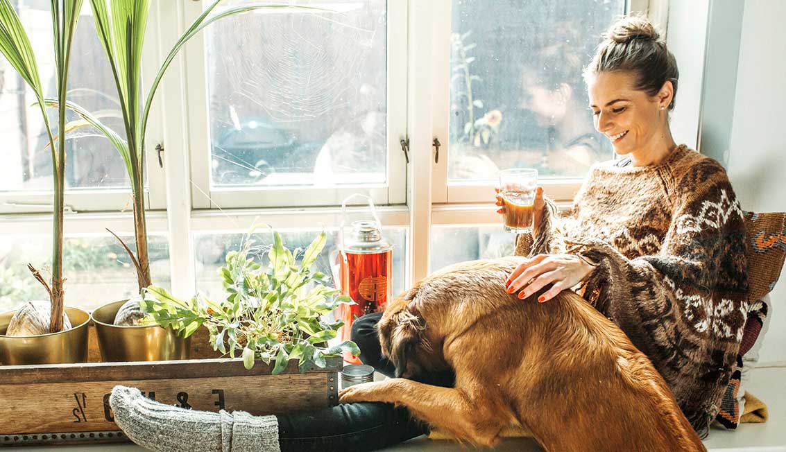 Akvarium Møntvask Bemærkelsesværdig Hundeforsikring | Tryg Forsikring